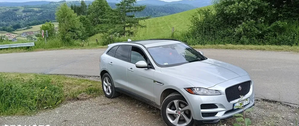 lubelskie Jaguar F-Pace cena 116700 przebieg: 70000, rok produkcji 2017 z Chełm